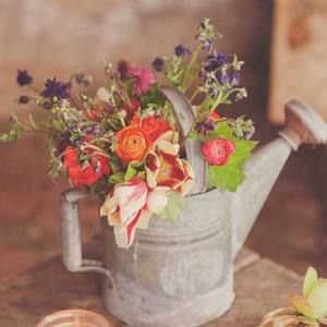 Meet your Posher, Deb